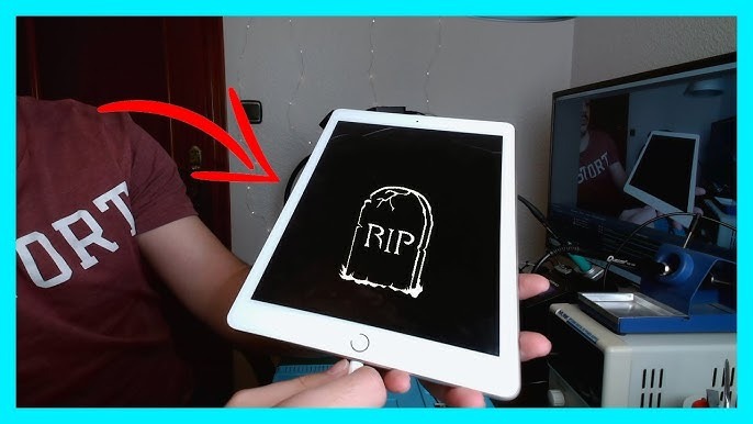 «HASTA QUE YA NO PUDE ACTUALIZAR MÁS MI IPAD»